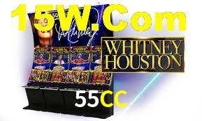 VIP Casino 55CC